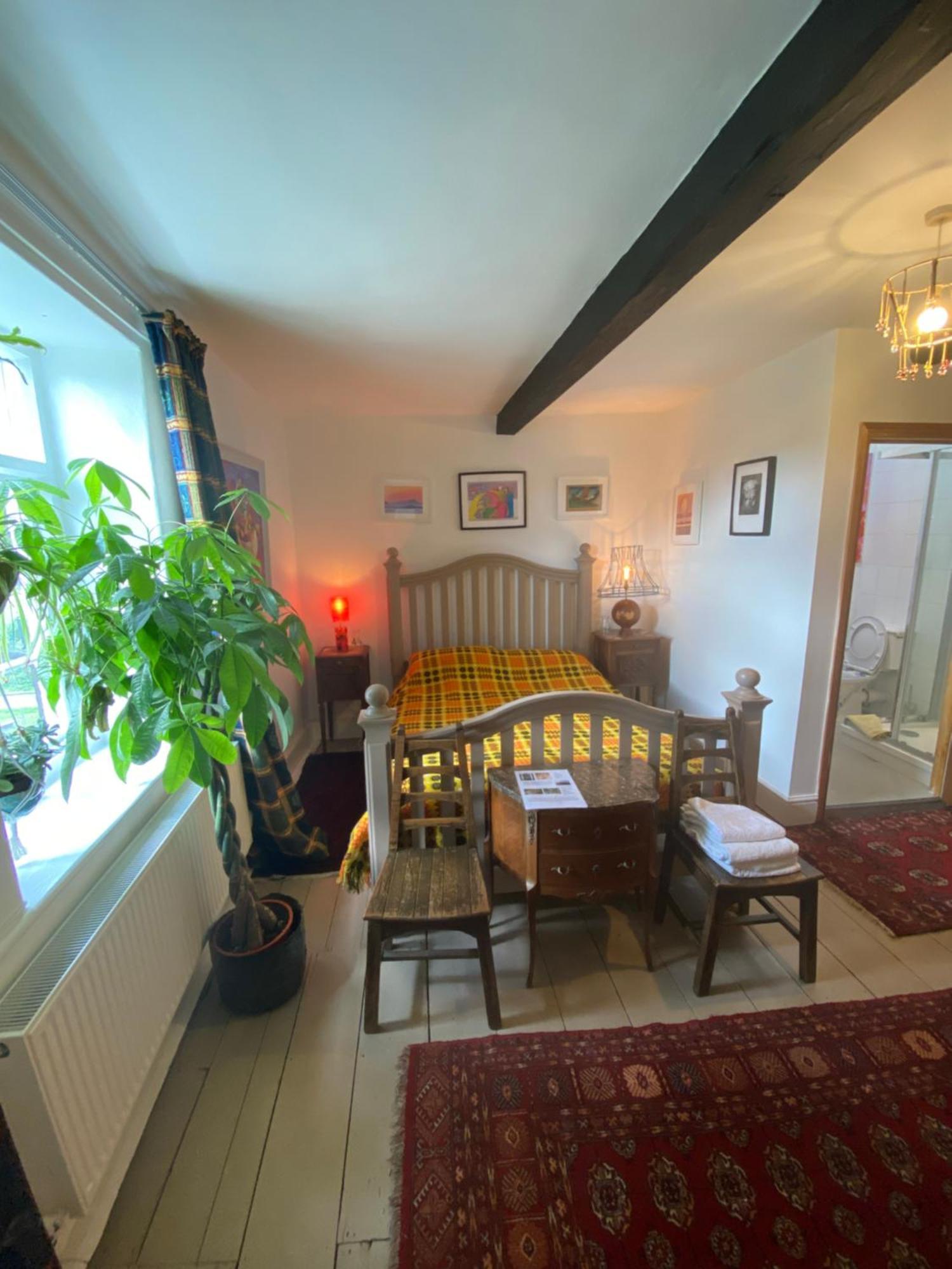 Art House B & B Raglan Habitación foto